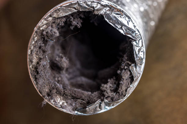 Best Air Duct Cleaning Company Near Me  in Verona, VA